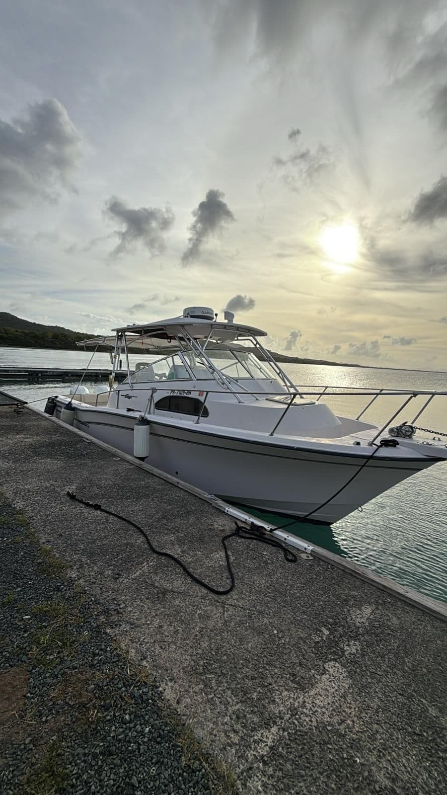 Grady White Marlin 30'