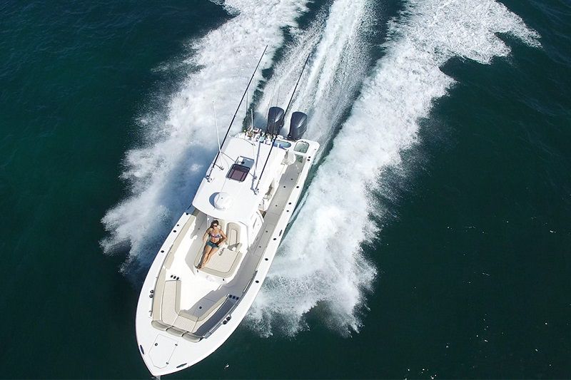 Sea Fox 3