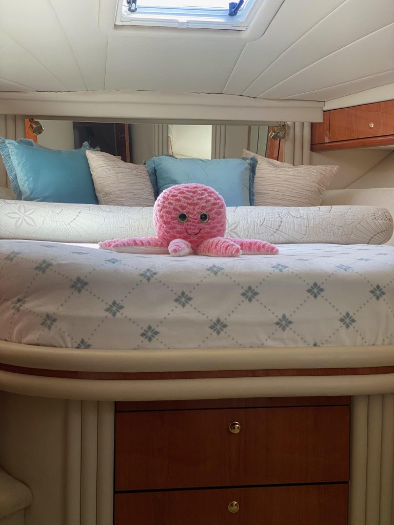 Sea Ray 51-2